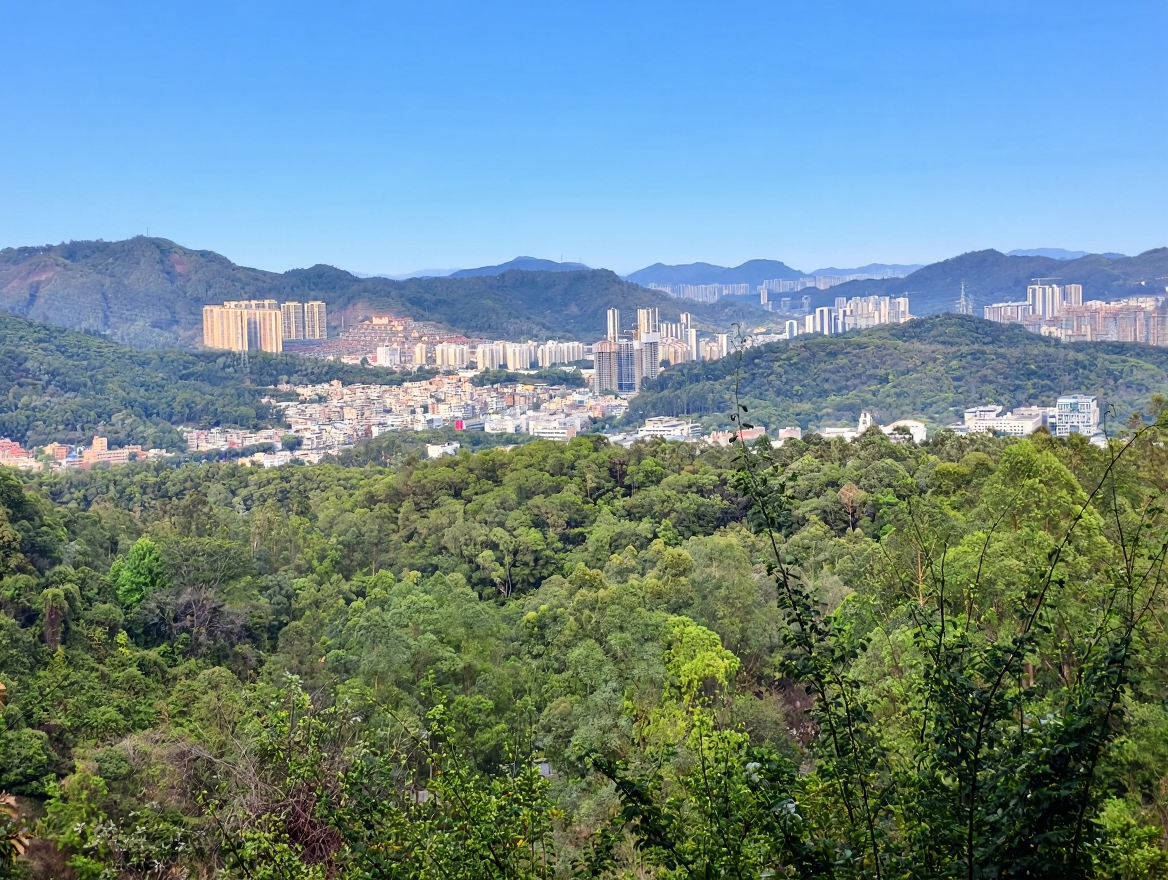 火炉山森林公园