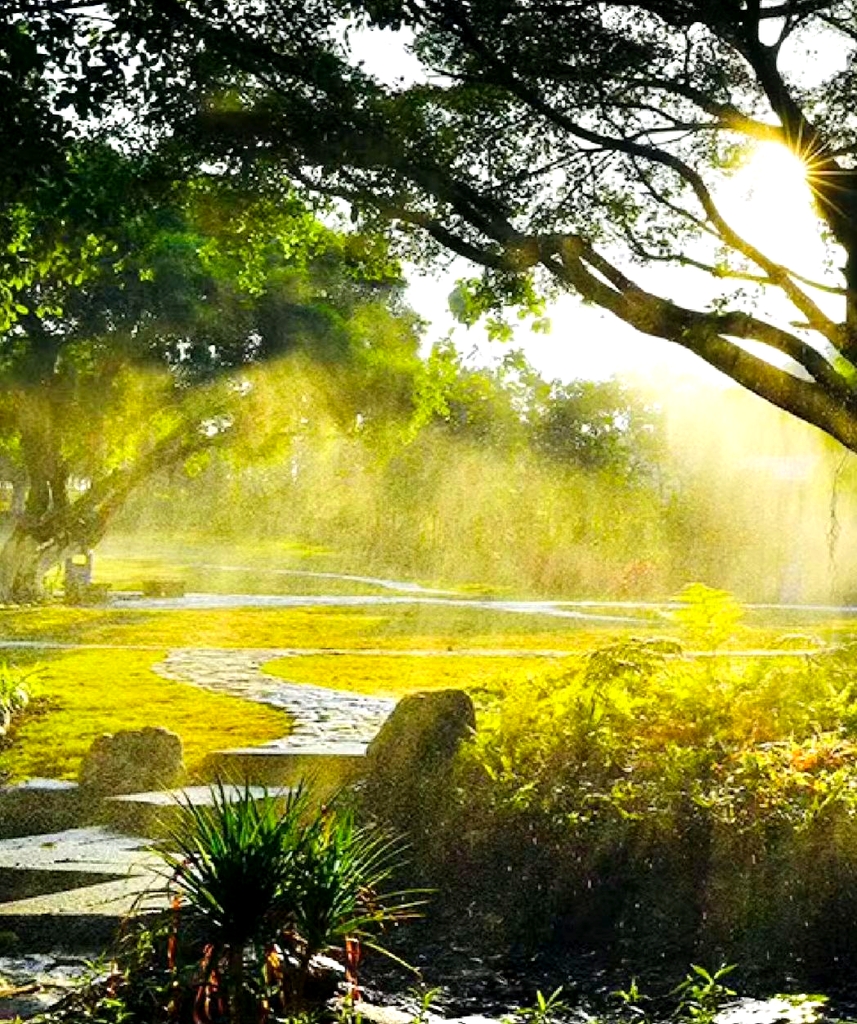 东莞植物园