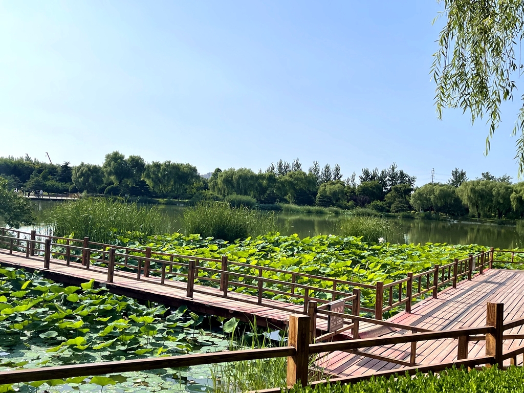 燕郊植物园