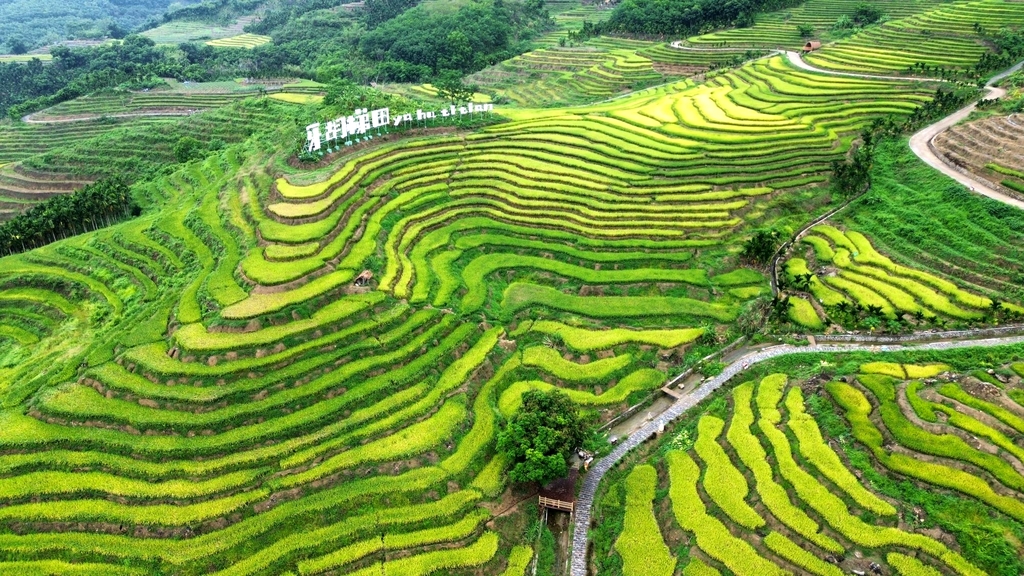 牙胡梯田景区