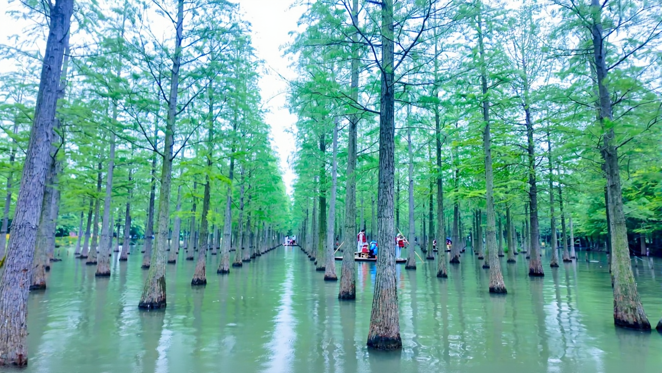 泗洪洪泽湖湿地景区