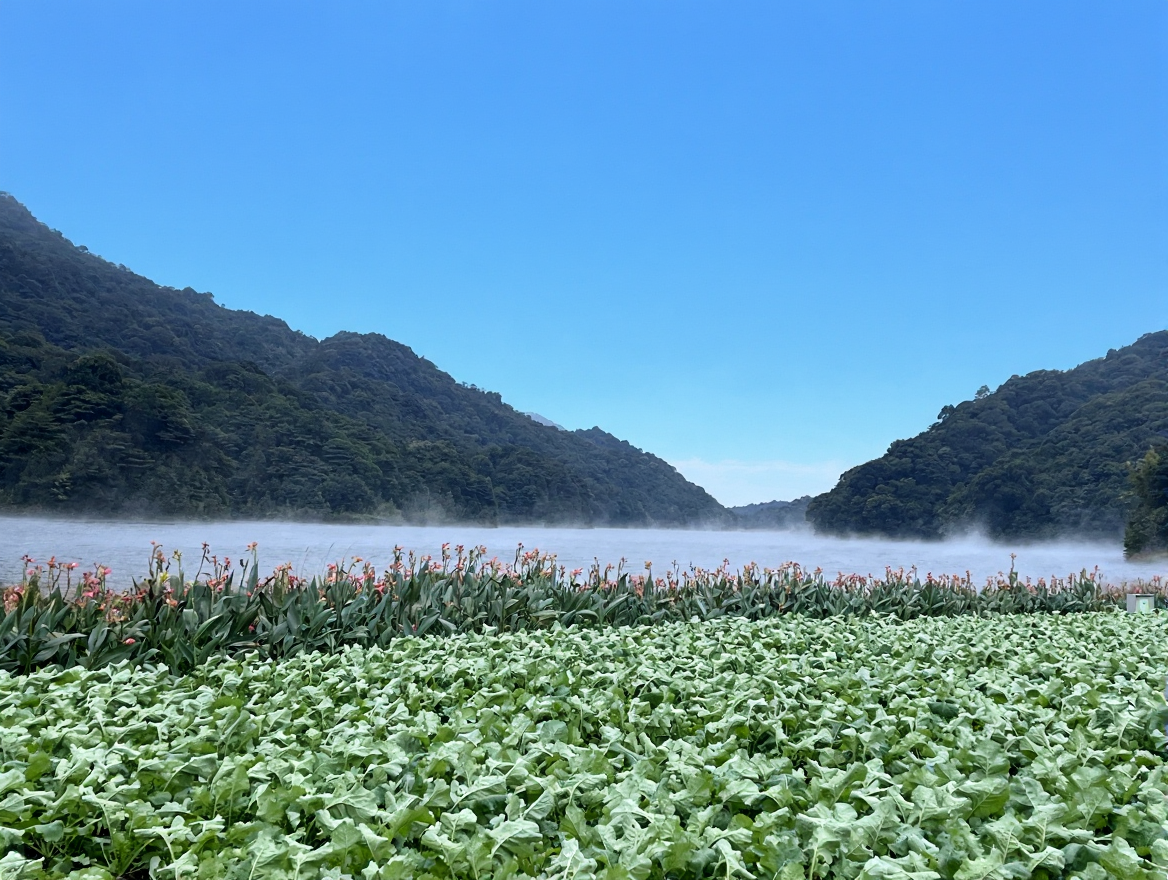 石门国家森林公园