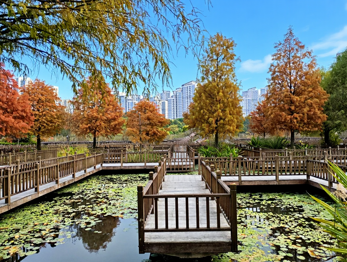 五缘湾湿地公园