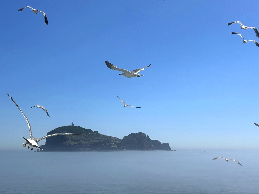 海驴岛景区