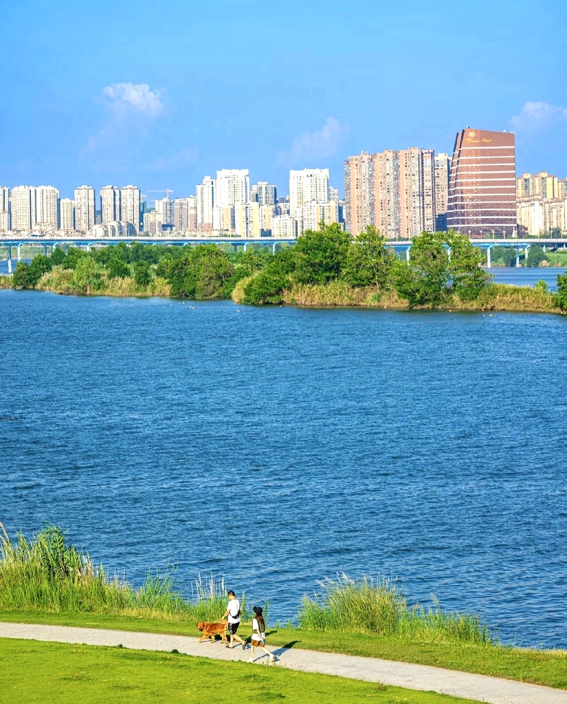 黄金江岸湿地公园
