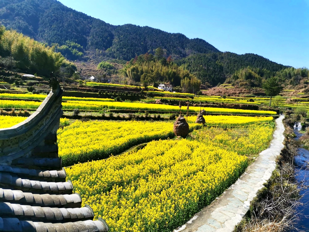 庆源古村