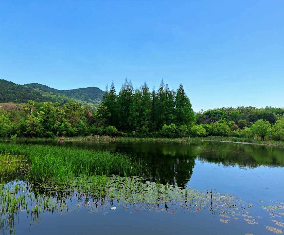 泉山森林公园