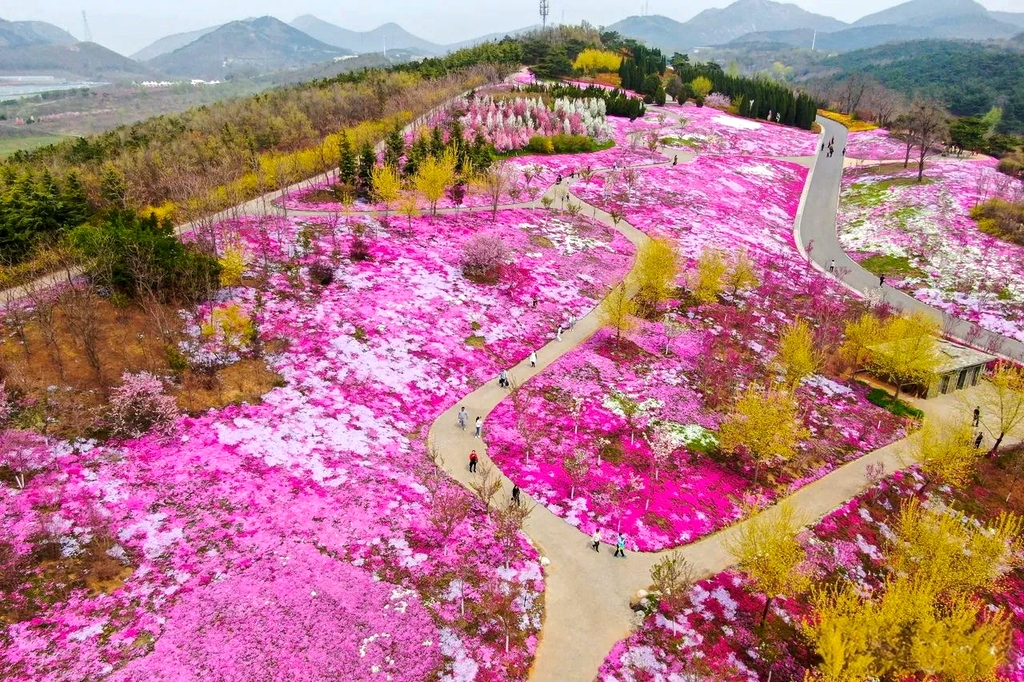 大连英歌石植物园