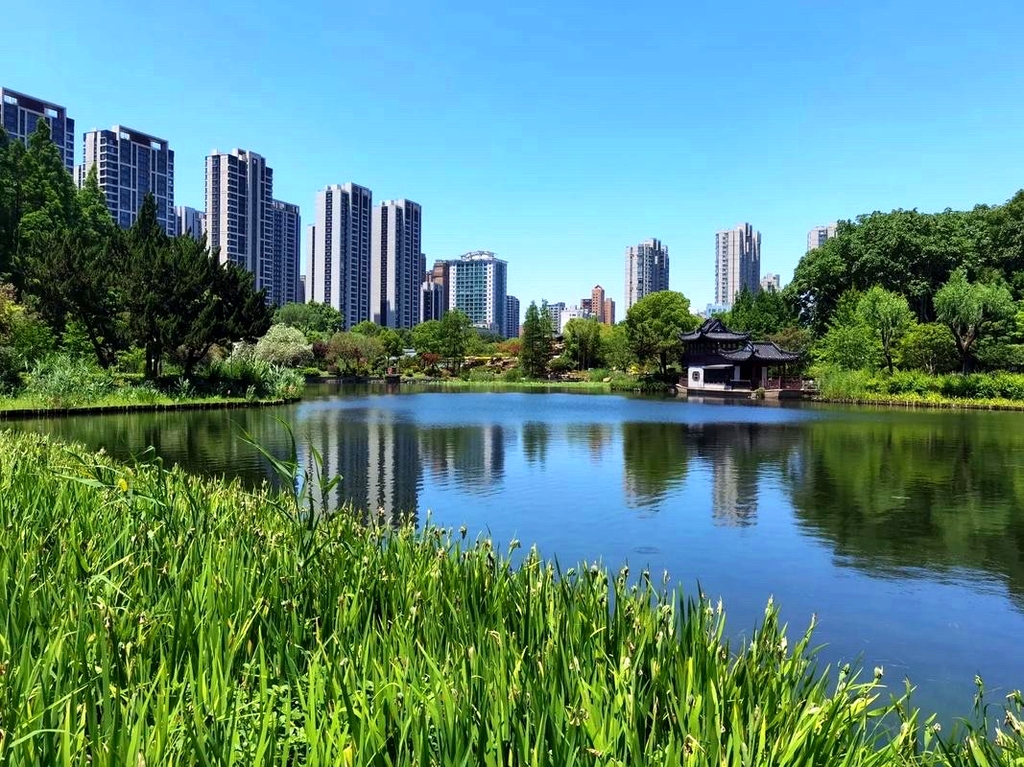 龙湖湿地公园