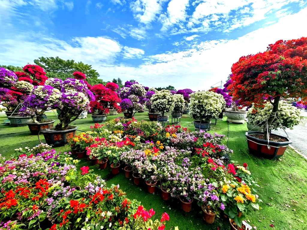 西江花洲公园