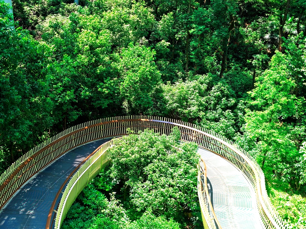 磨盘山森林公园