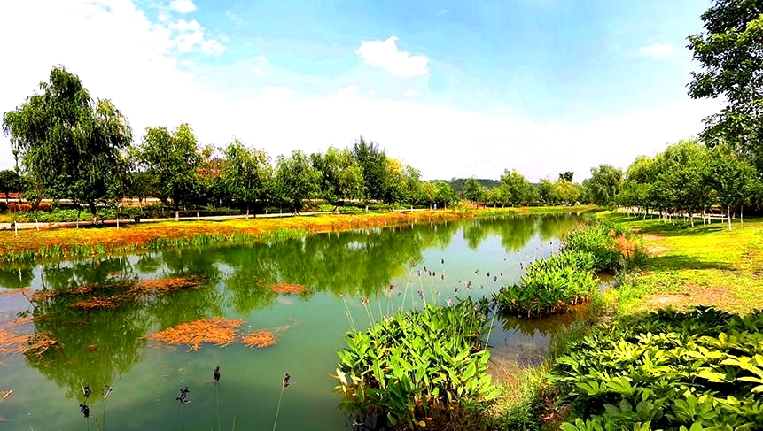 小枧城市生态湿地公园