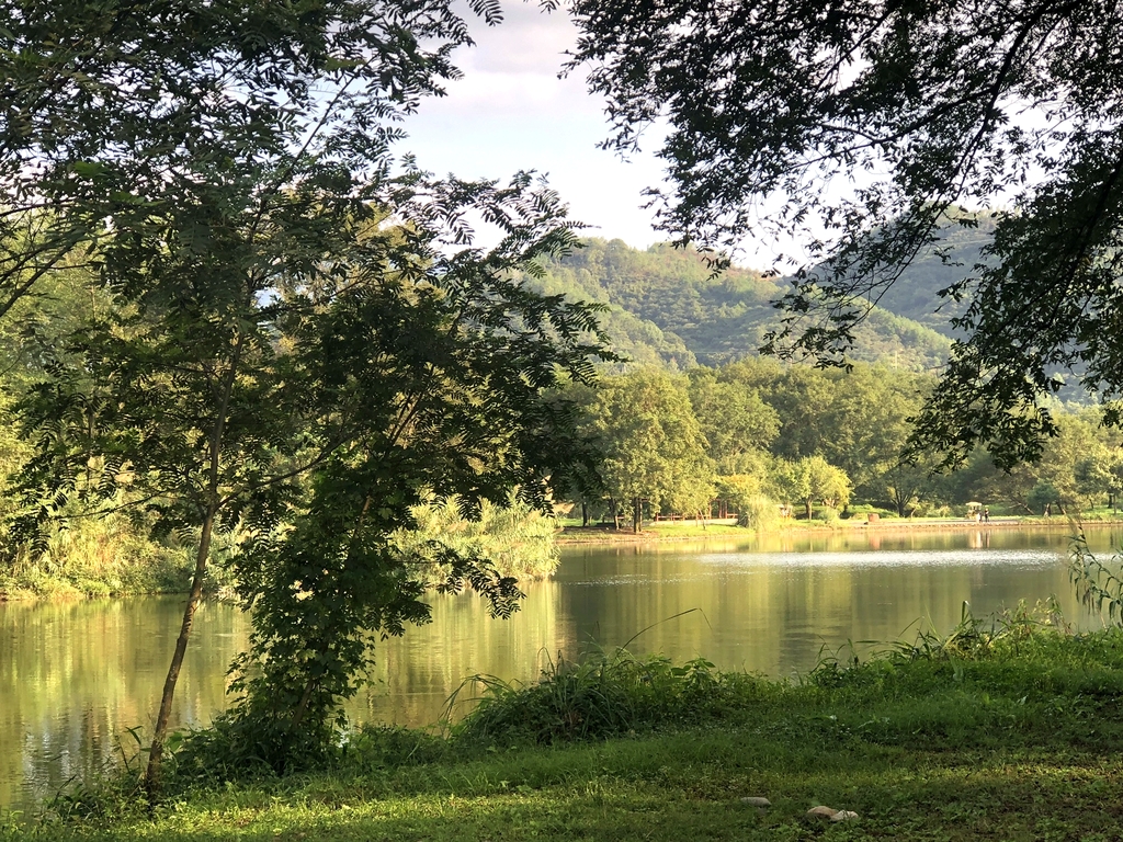 九龙国家湿地公园