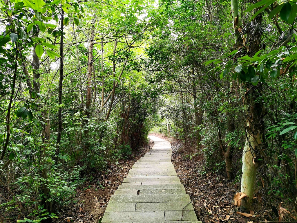 中山市树木园