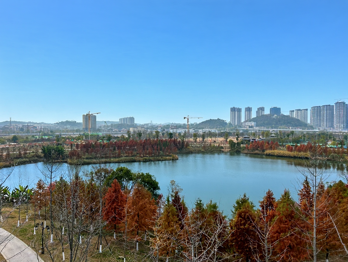 宋家洲公园