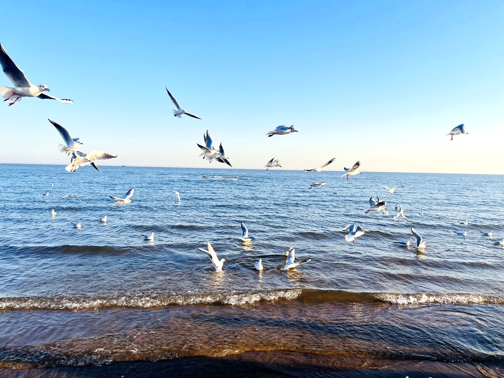 蔚蓝海岸浴场