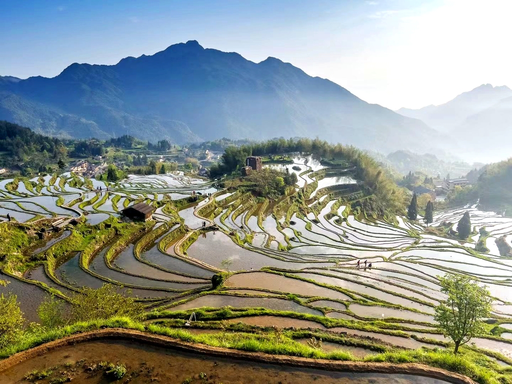 云和梯田景区