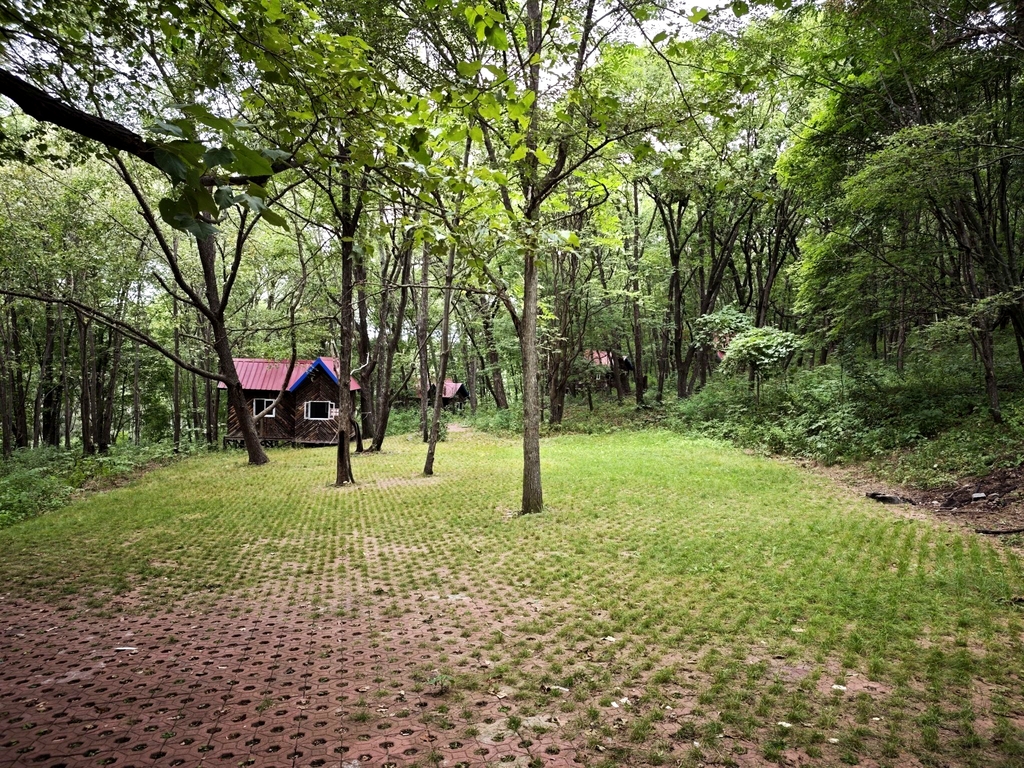 石龙山国家森林公园