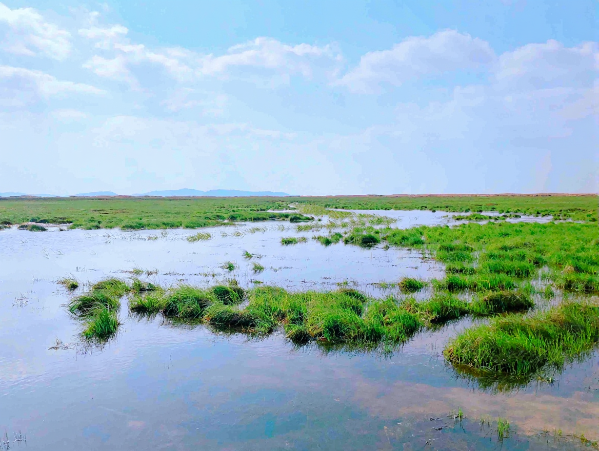 鄱阳湖国家湿地公园