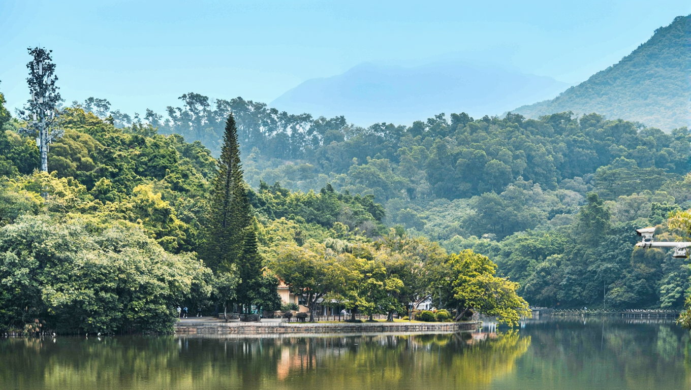 深圳仙湖植物园