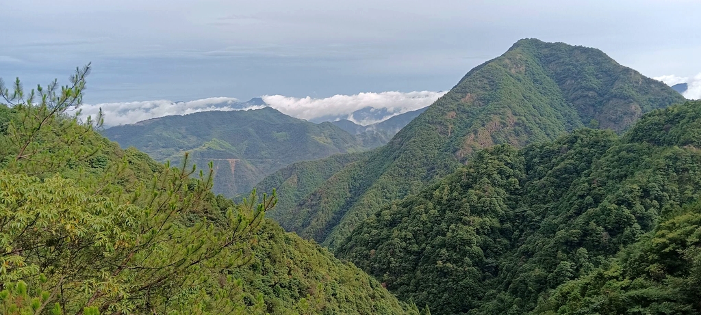 丽水白云国家森林公园