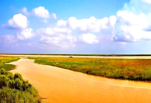 黄河口生态旅游区