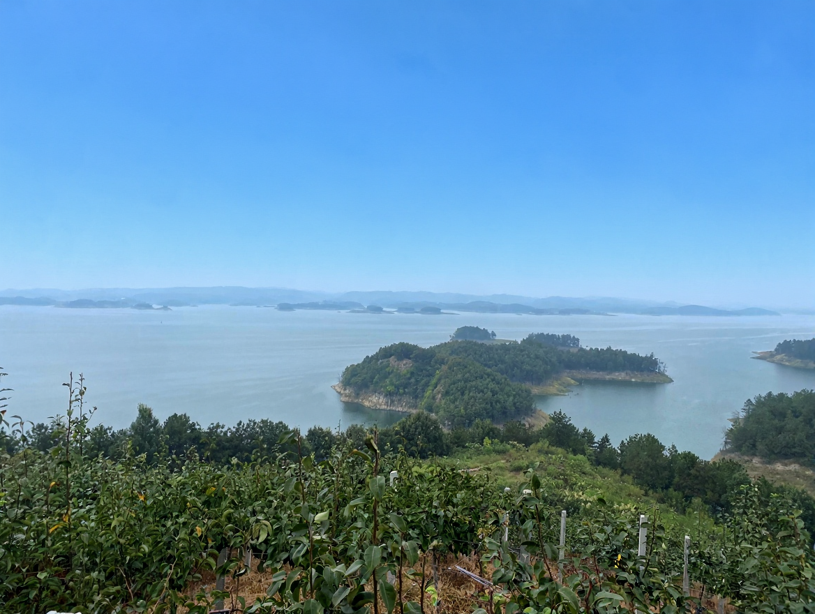 丹江口水库如意岛