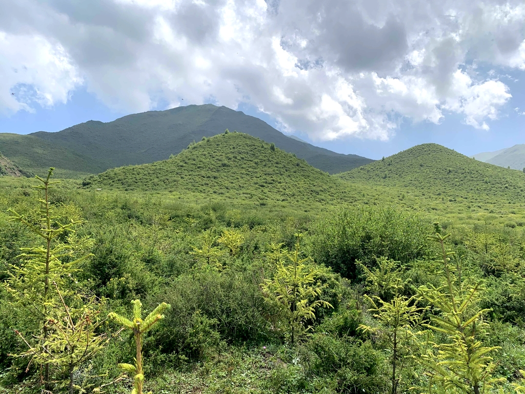 峡群寺森林公园