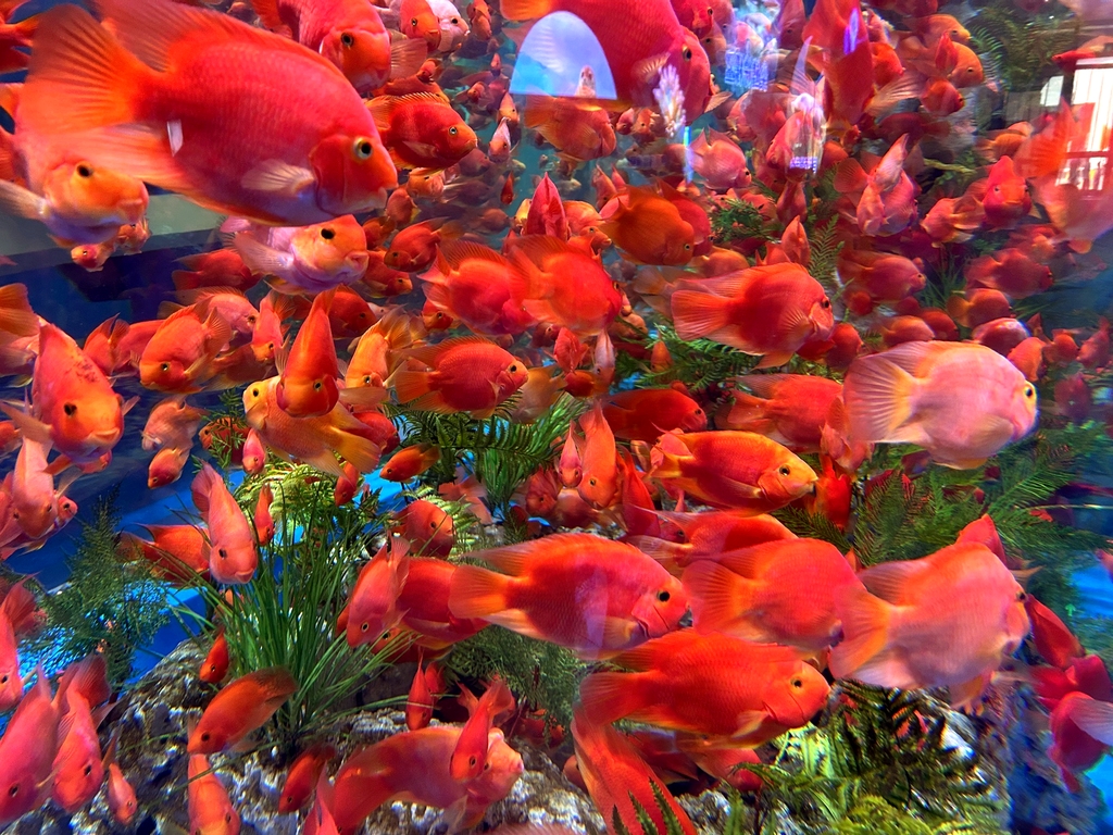 德州海洋馆