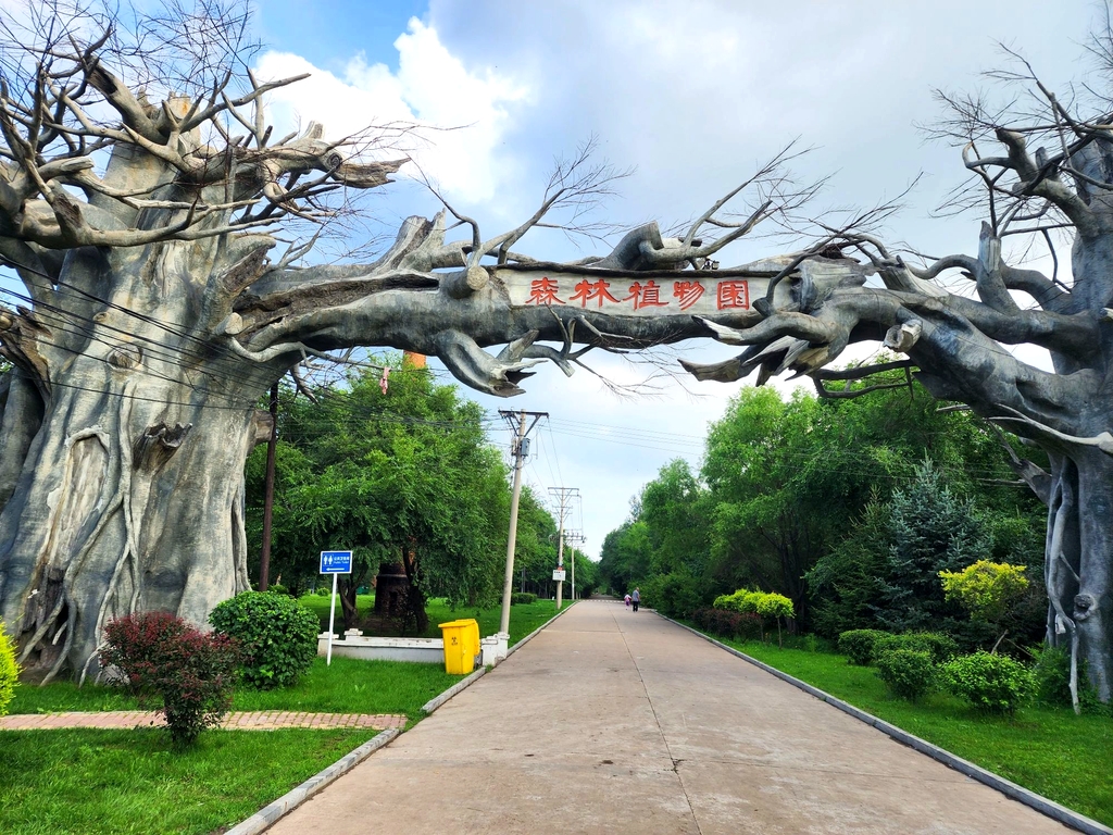 森林植物园