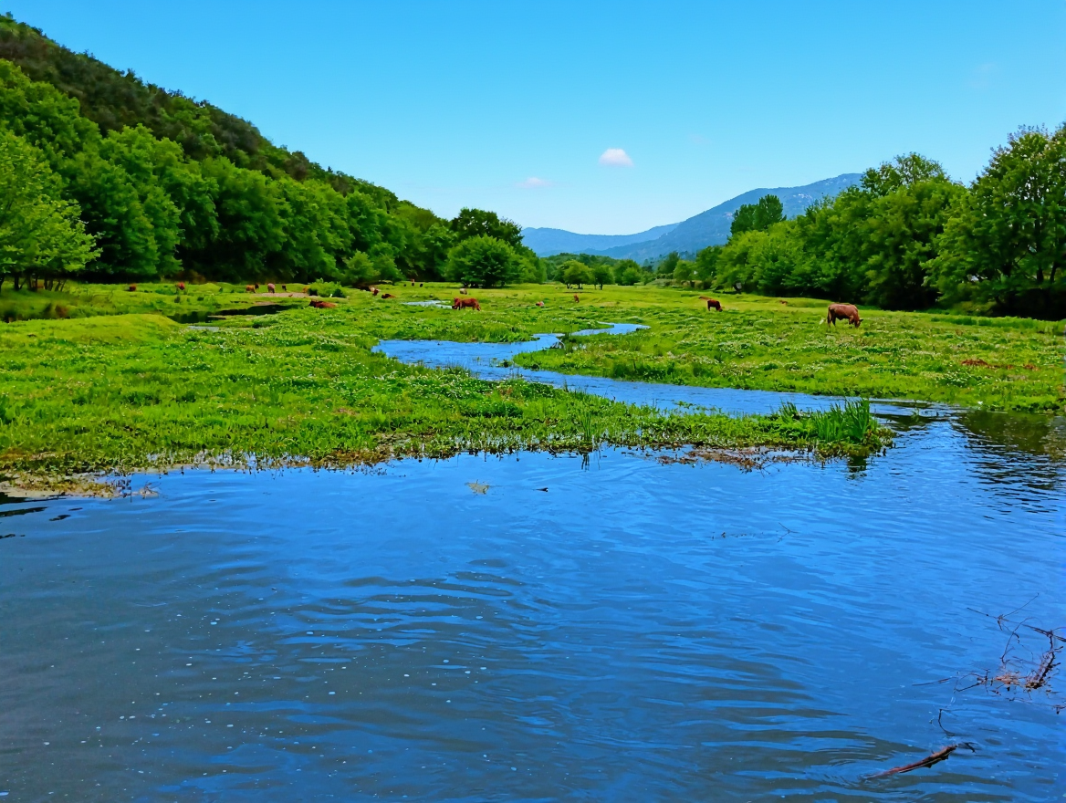 新县郭家河省级湿地公园
