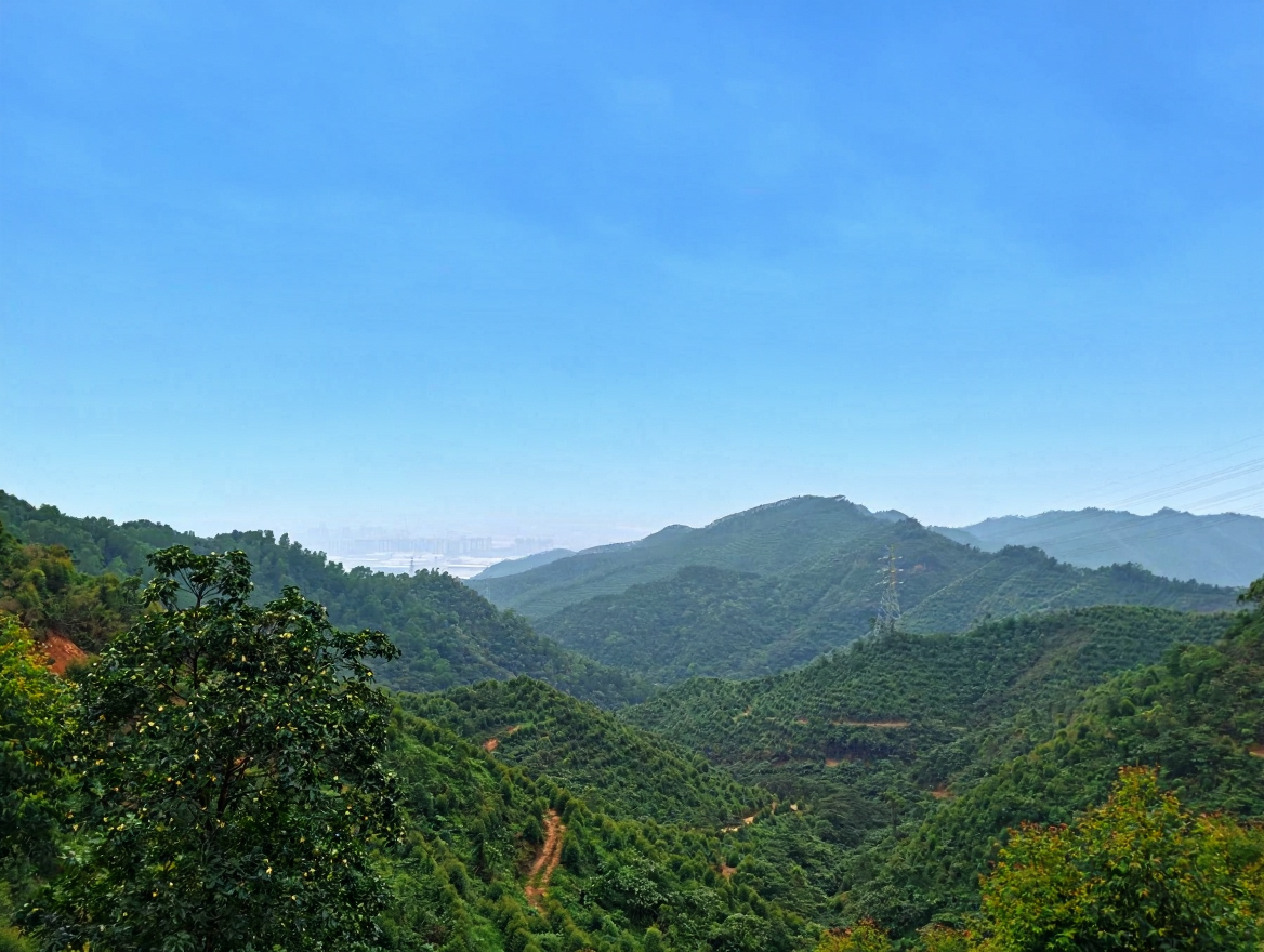 大南山森林文化公园