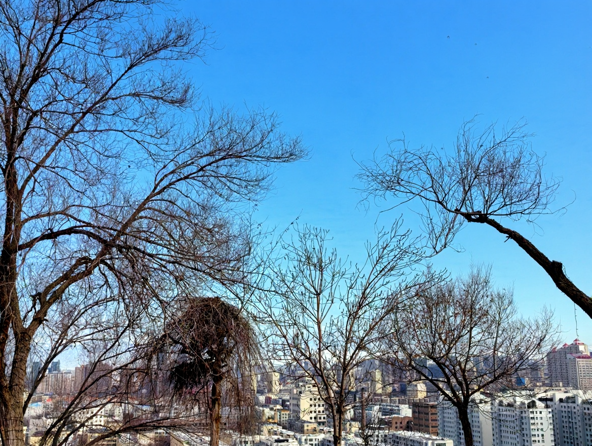 鲤鱼山公园
