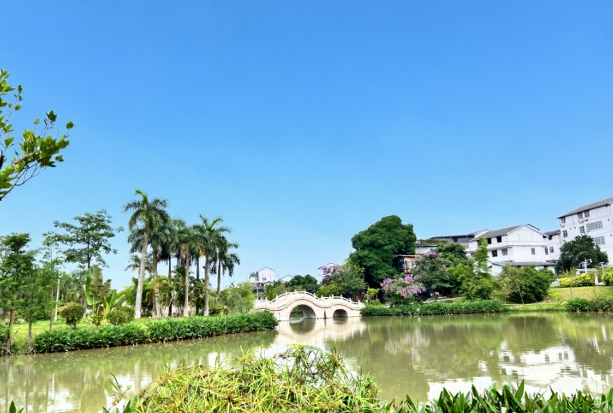 美丽南方