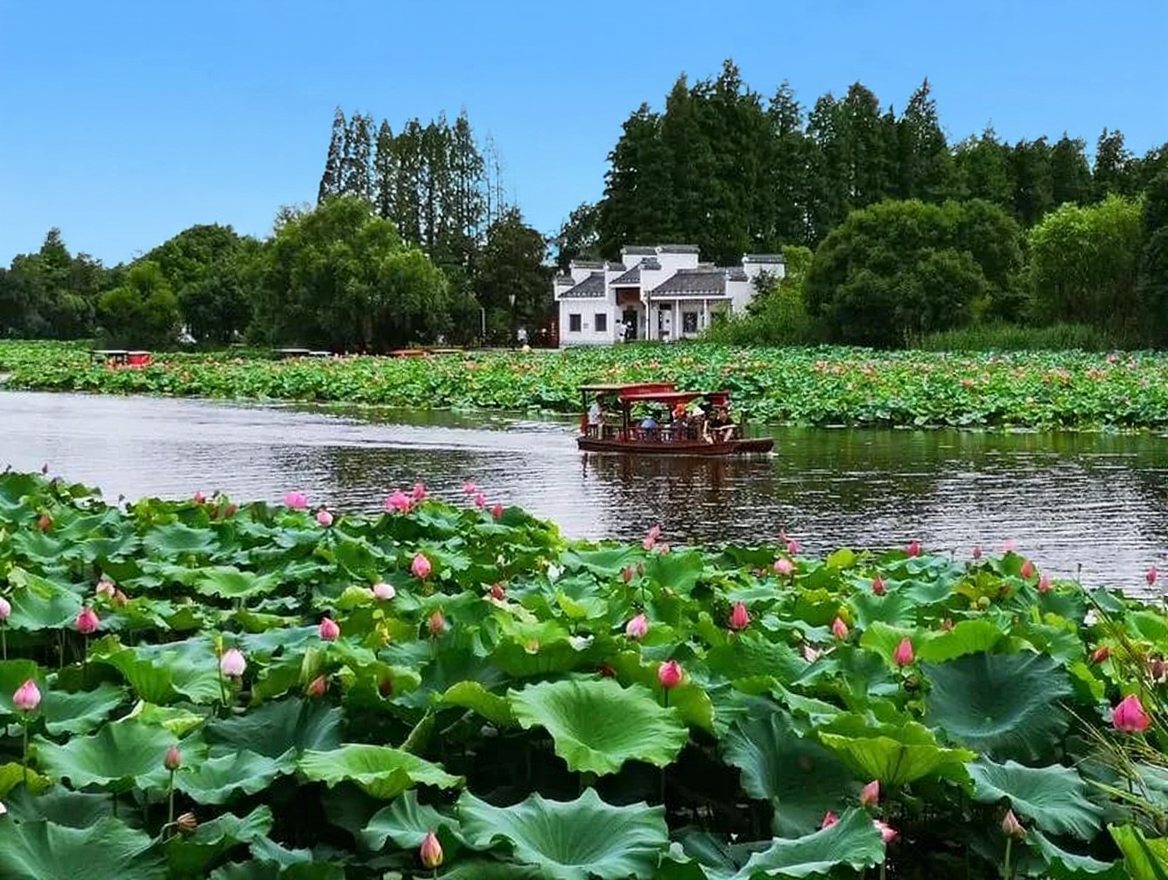 陶辛水韵景区