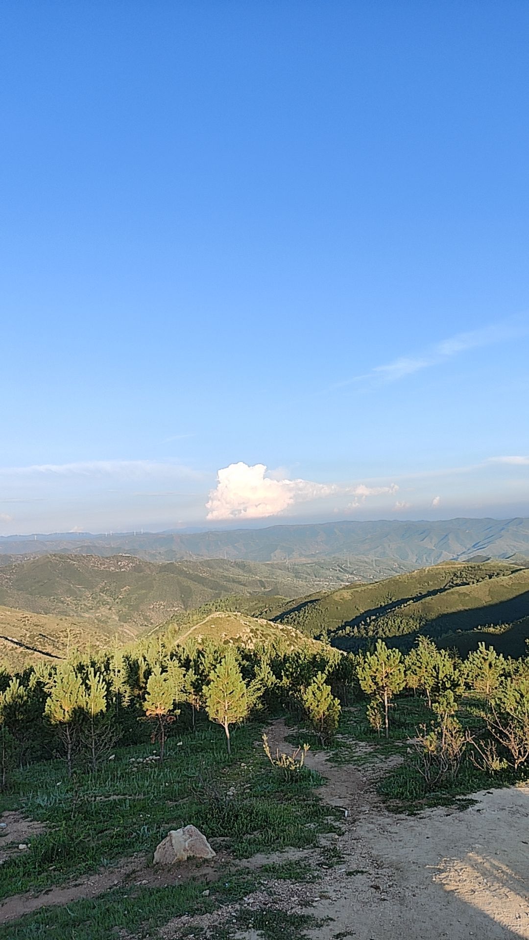 云栖漫野花海旅行图片 3