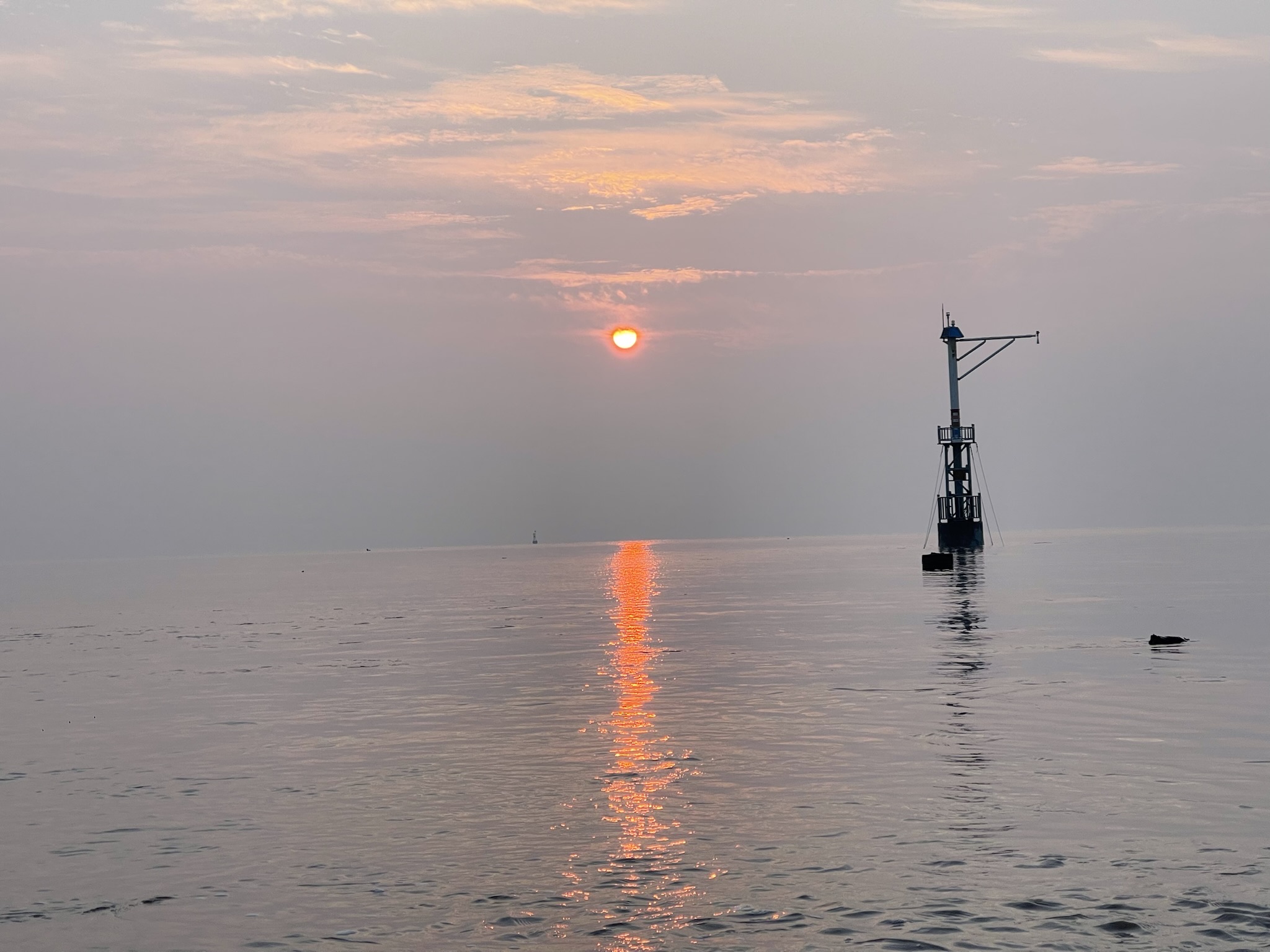 敕海观塘旅行图片 1