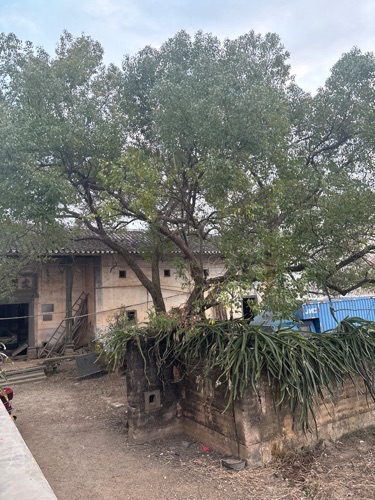 文明第旅行图片 3