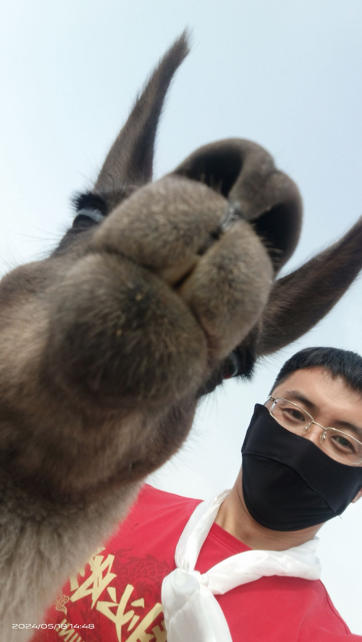 追梦坝上草原旅行图片 3