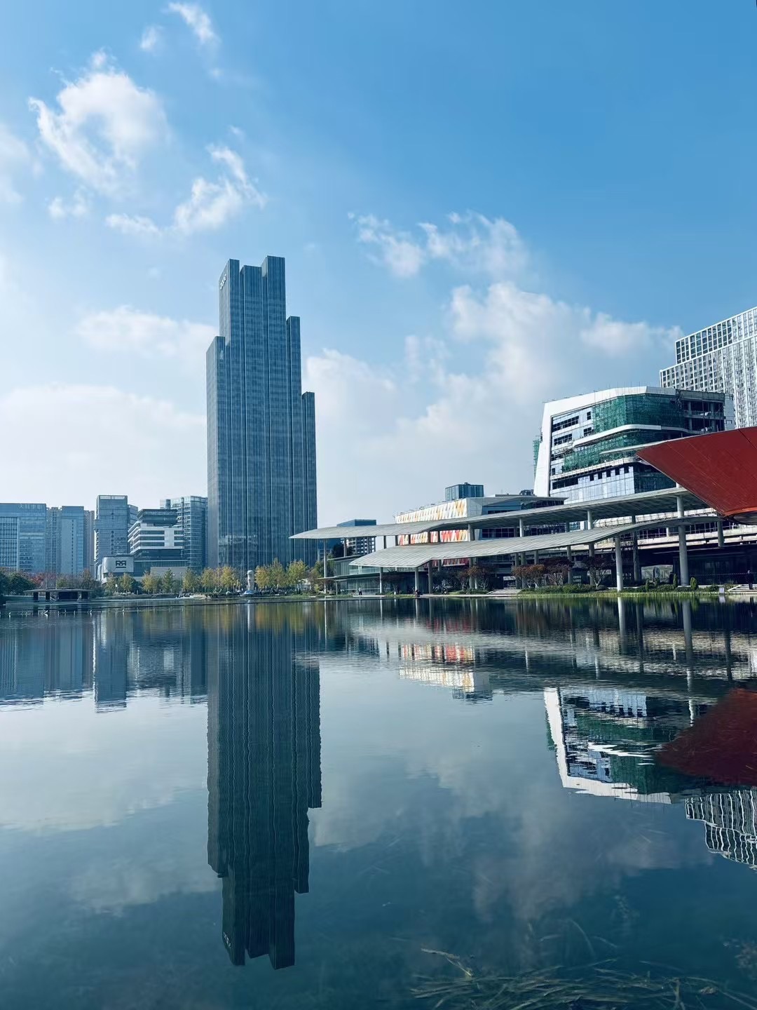 新川湿地公园旅行图片 3