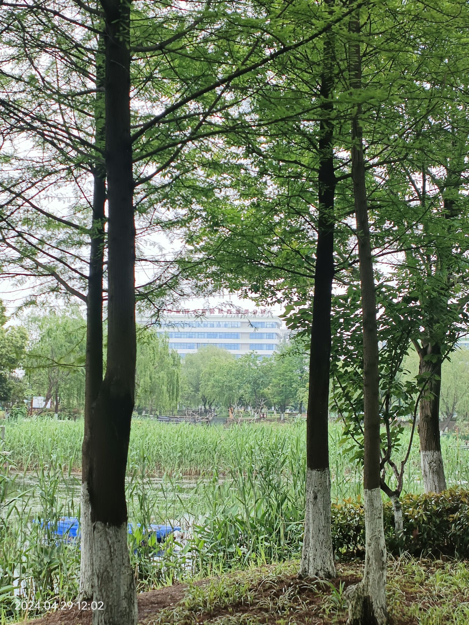 海盐植物园旅行图片 1