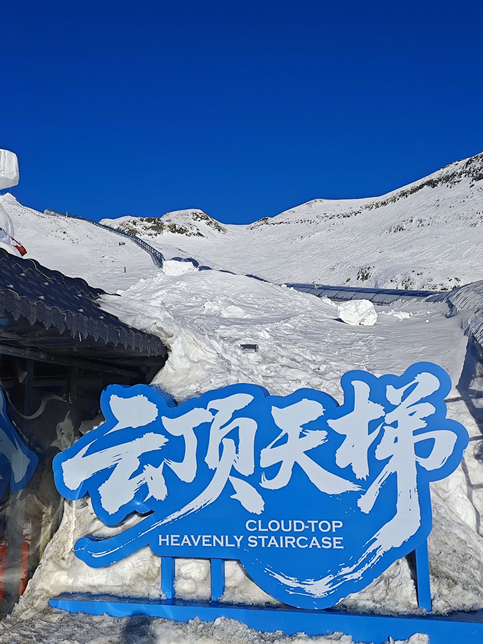 回首眺望