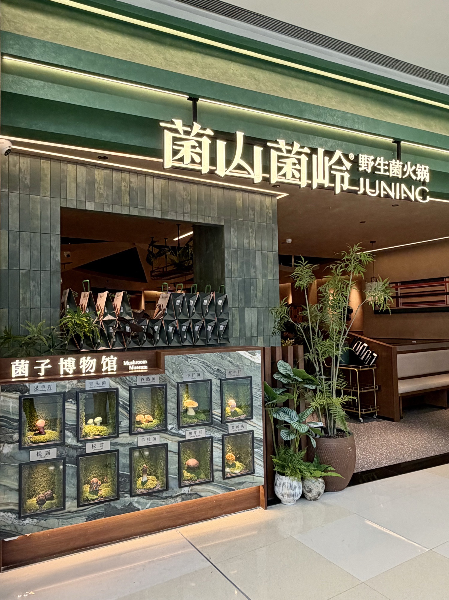 Gallery 2