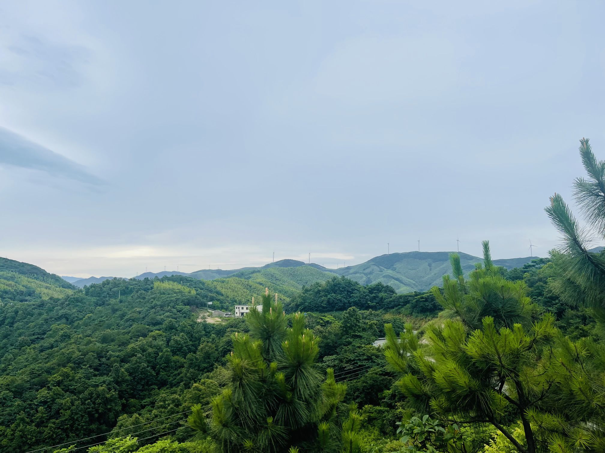 凤凰岭古道旅行图片 2