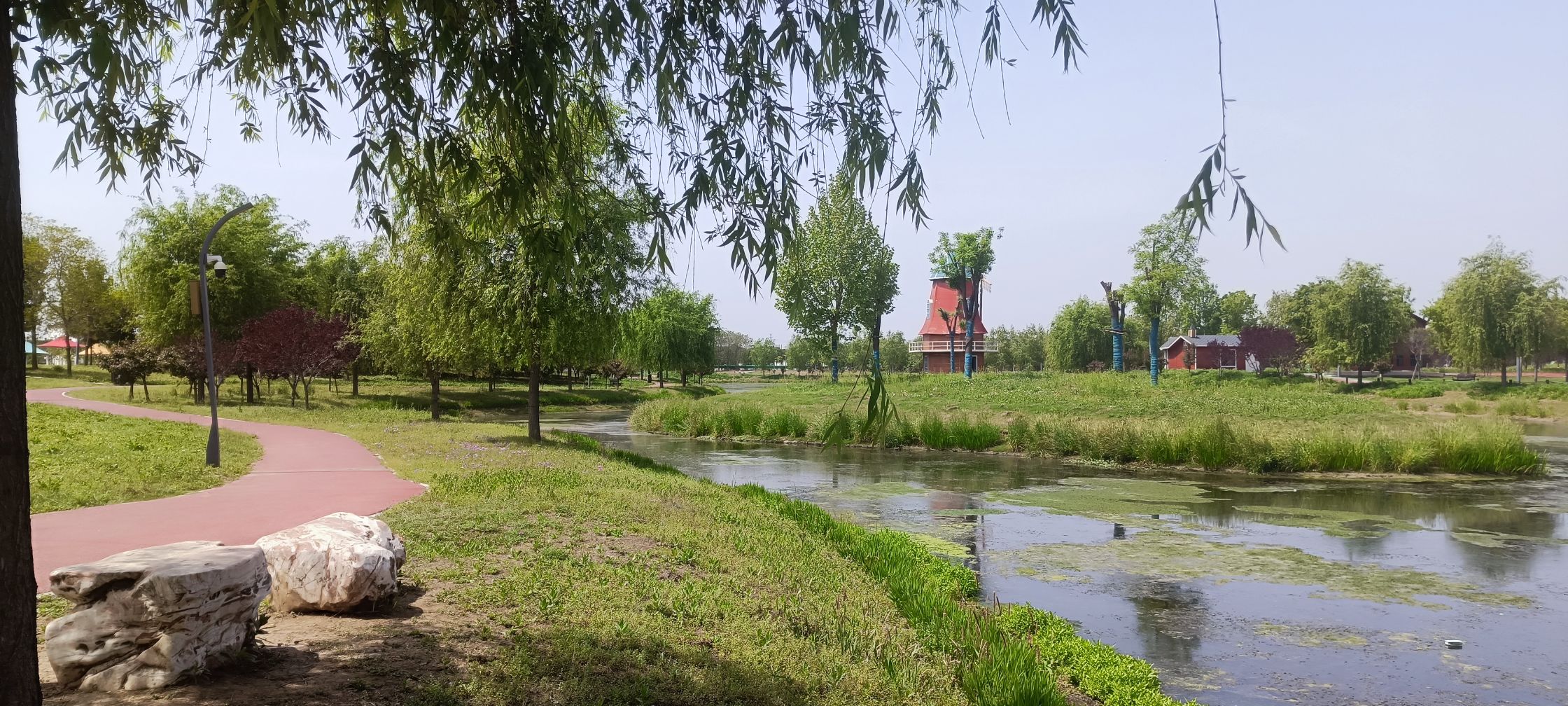 青龙河生态文化主题公园旅行图片 1