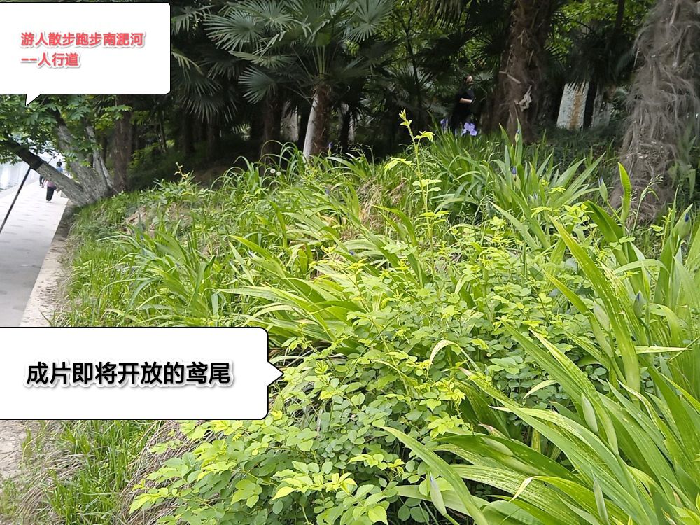 环城公园旅行图片 2