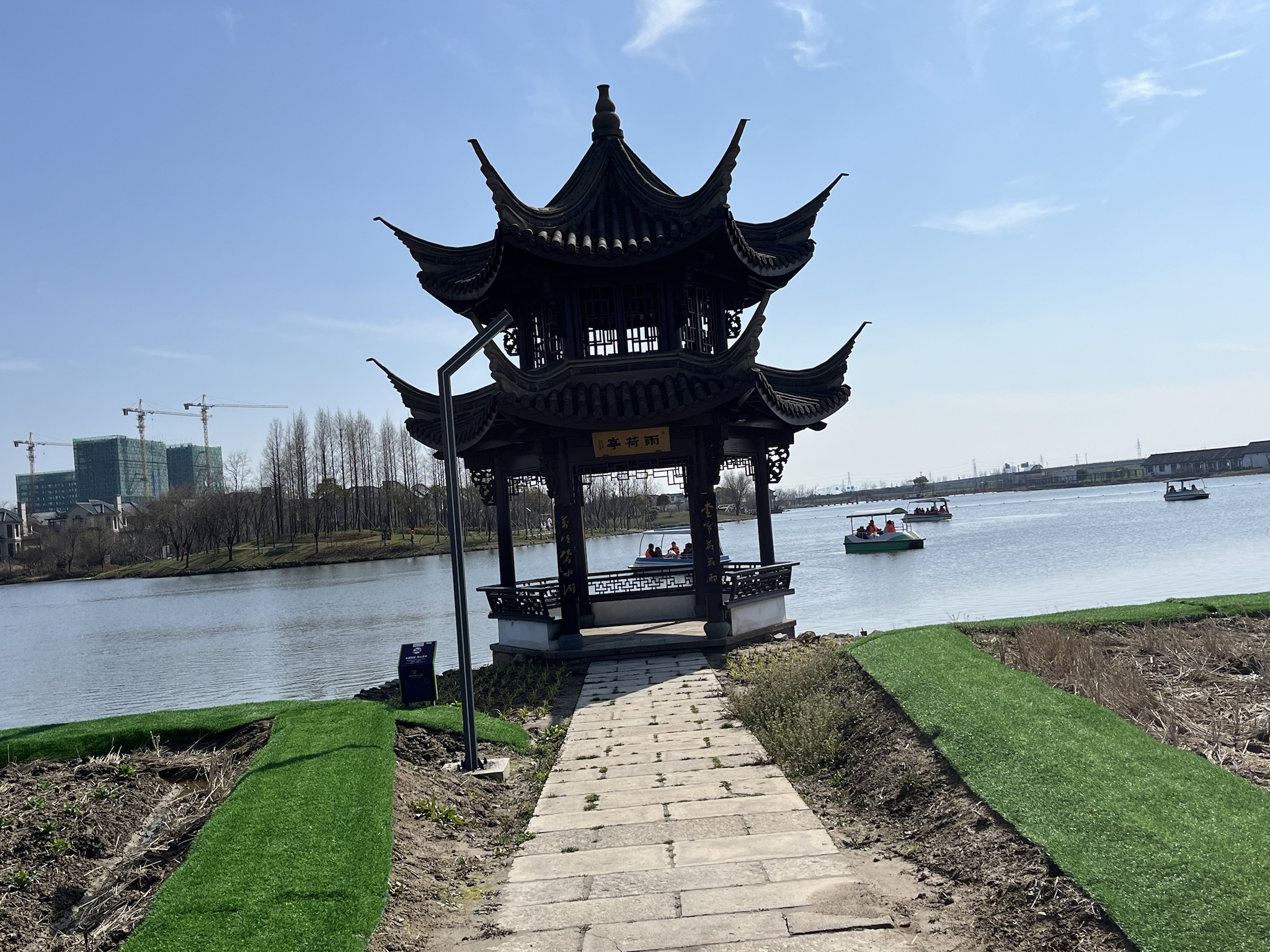 杭州湾海上花田景区旅行图片 1
