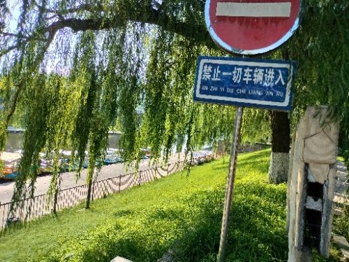 西柳万芳园公园旅行图片 2