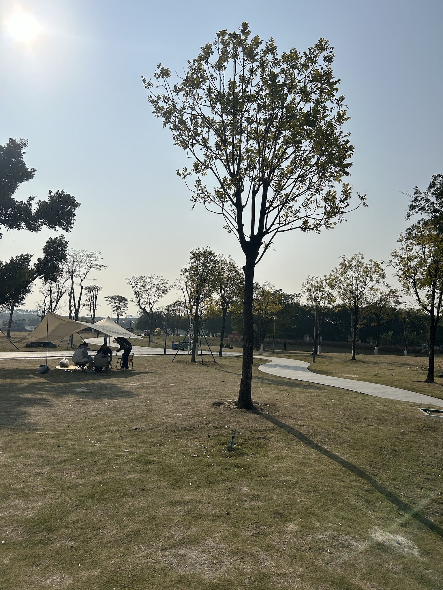 半月岛生态公园(南海段)旅行图片 1