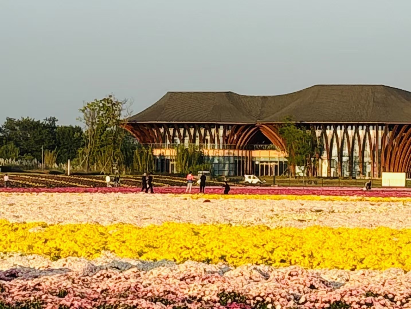 成都世界园艺博览会温江分会场旅行图片 1